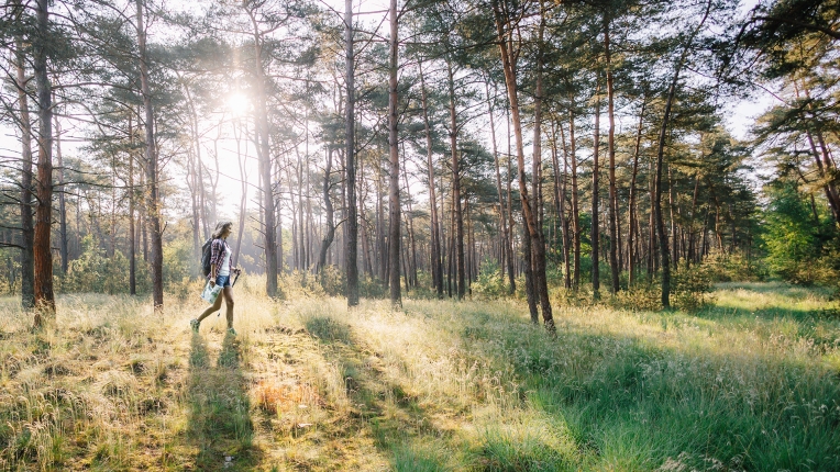 Nationaal Park Bosland Trail