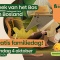 Week van het Bos in Nationaal Park Bosland