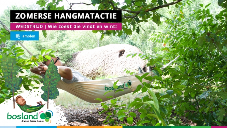 Hangmatactie - Week 6