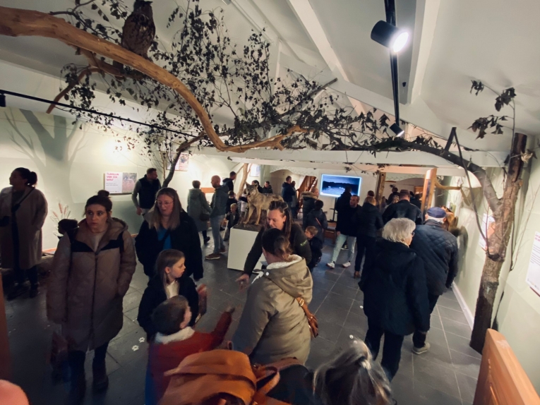 Bosmuseum Pijnven