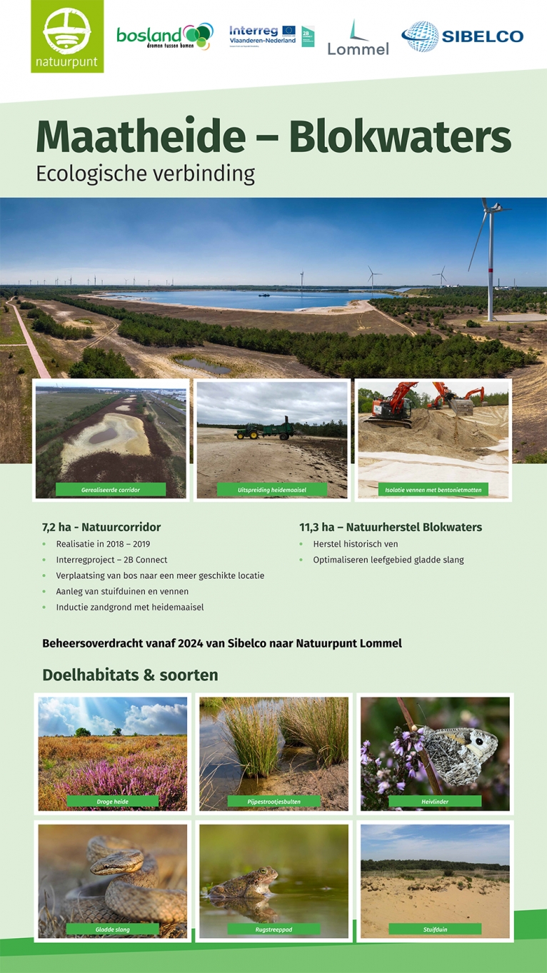 Ecologische verbinding Blokwaters - Sibelco & Natuurpunt