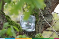 Bosland Tree Gin