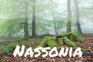 Nassonia