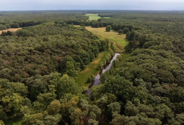 Blue Deal in Het Hobos: natte natuur keert terug