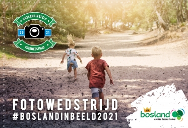 Bosland in Beeld - Fotografen richten hele zomer lang lens op Bosland