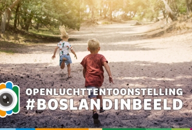 Openluchttentoontstelling Bosland in Beeld