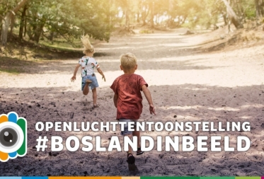 Openluchttentoonstelling Bosland in Beeld