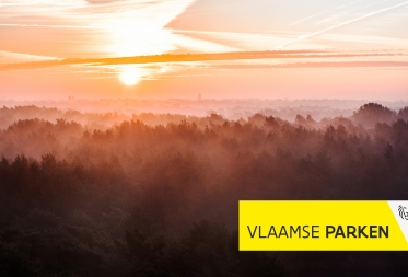 Nieuw hoofdstuk in succesverhaal: grootste aaneengesloten natuurmassief van Vlaanderen wordt Nationaal Park Bosland!