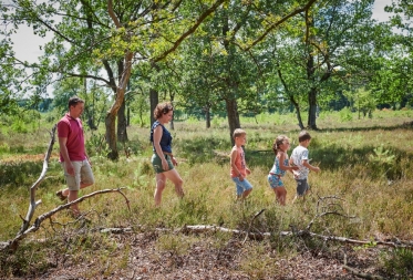 Meer dan 2 miljoen wandelaars kiezen in 2018 voor Limburg omwille van het aantrekkelijke landschap en de mooie natuur!