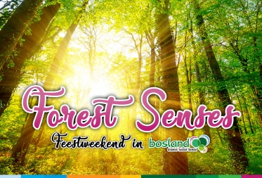 Forest Senses Feestweekend in Bosland