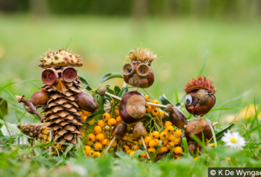 Knutselen in het bos