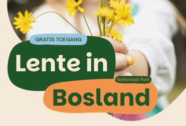 Lente in Nationaal Park Bosland