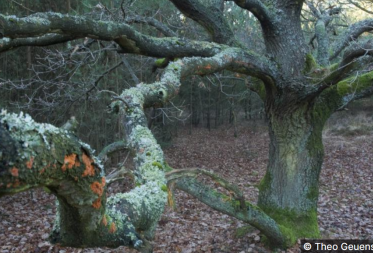 Sagen - en legendenwandeling