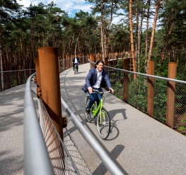 Fietsen door de Bomen in Bosland © Toerisme Limburg