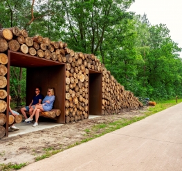 Fietsen door de Bomen in Bosland © Toerisme Limburg