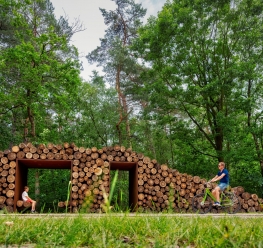 Fietsen door de Bomen in Bosland © Toerisme Limburg