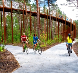 Fietsen door de Bomen in Bosland © Toerisme Limburg