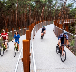 Fietsen door de Bomen in Bosland © Toerisme Limburg