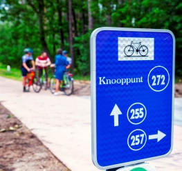 Fietsen door de Bomen in Bosland © Toerisme Limburg
